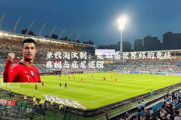 单败淘汰制：美加墨世界杯的竞技真相与底层逻辑