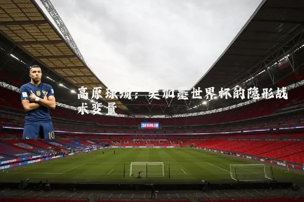 高原球场:美加墨世界杯的隐形战术变量